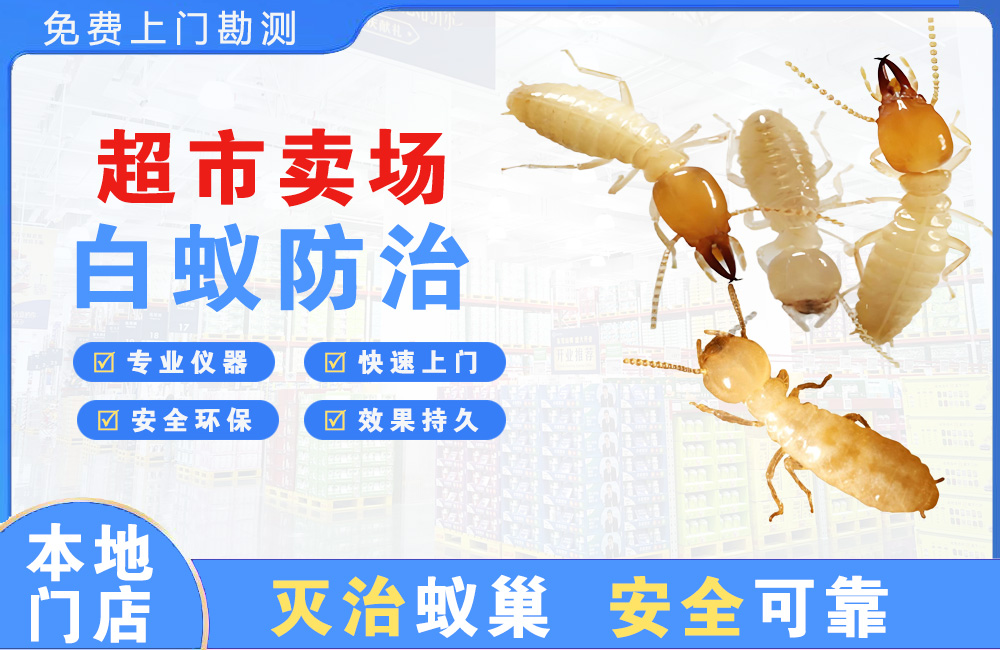 漳州超市卖场白蚁防治