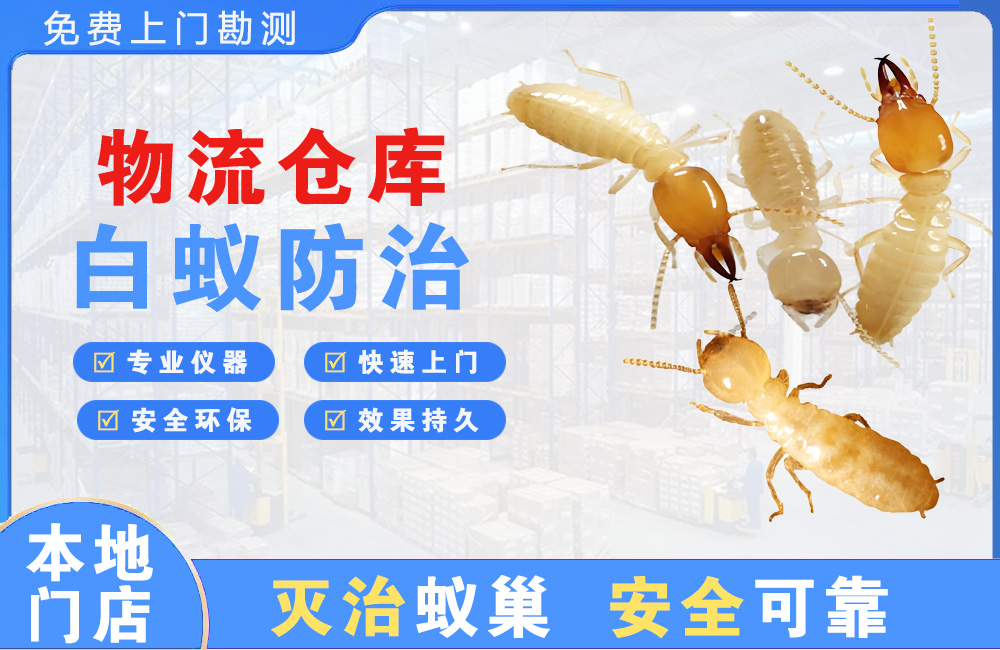 漳州物流仓库白蚁防治