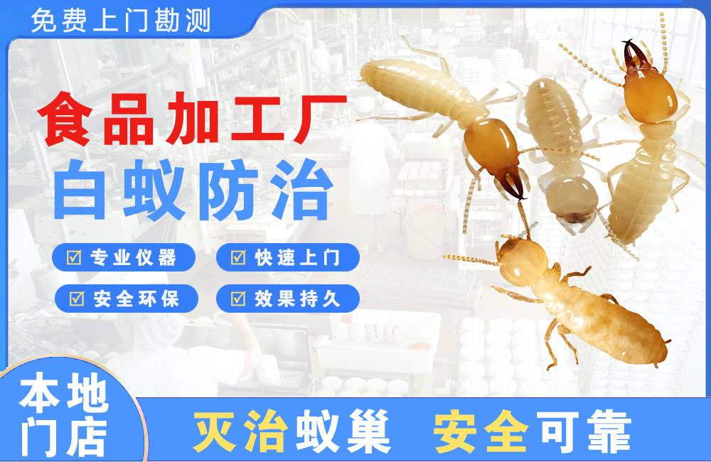 漳州食品加工厂白蚁防治