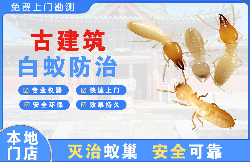 漳州古建筑白蚁防治